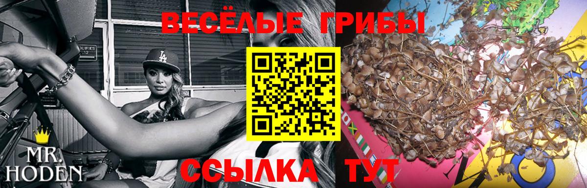 Краснотурьинск  Галлюциногенные грибы Psilocybine cubensis  Вход с VPN 