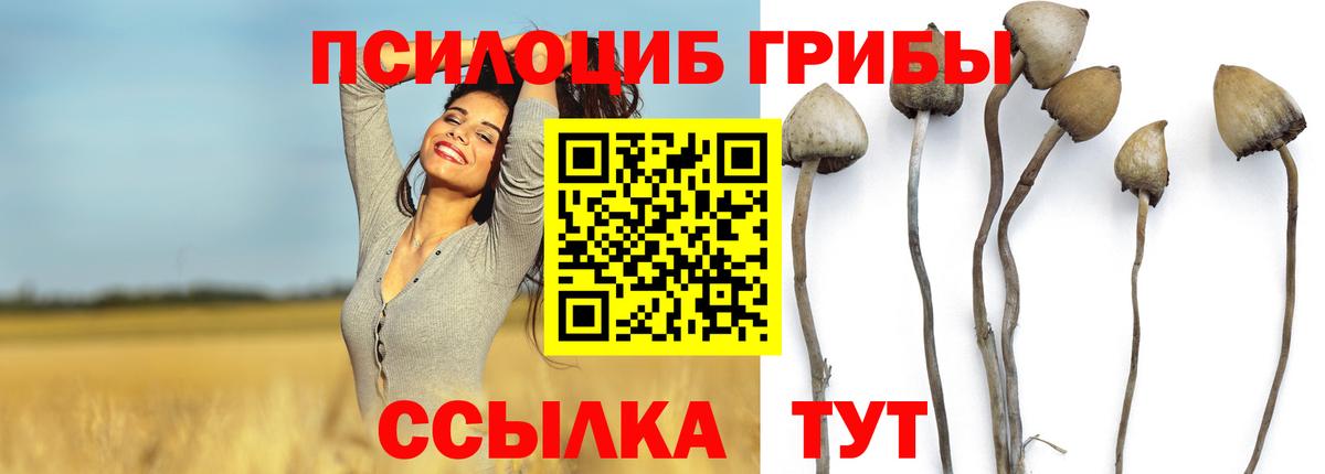 Псилоцибиновые грибы MAGIC MUSHROOMS Краснотурьинск