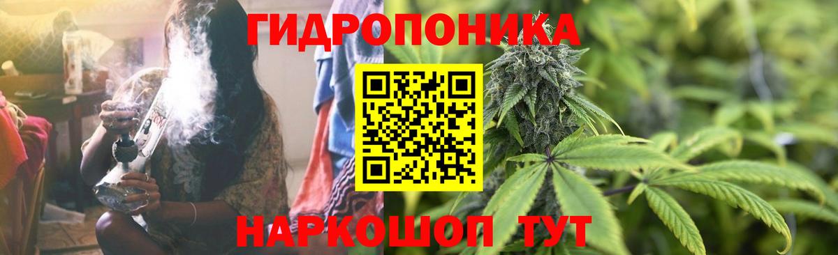Шишки марихуана семена Краснотурьинск